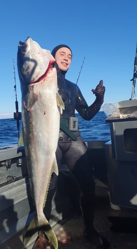 Speared Cape Kingfish