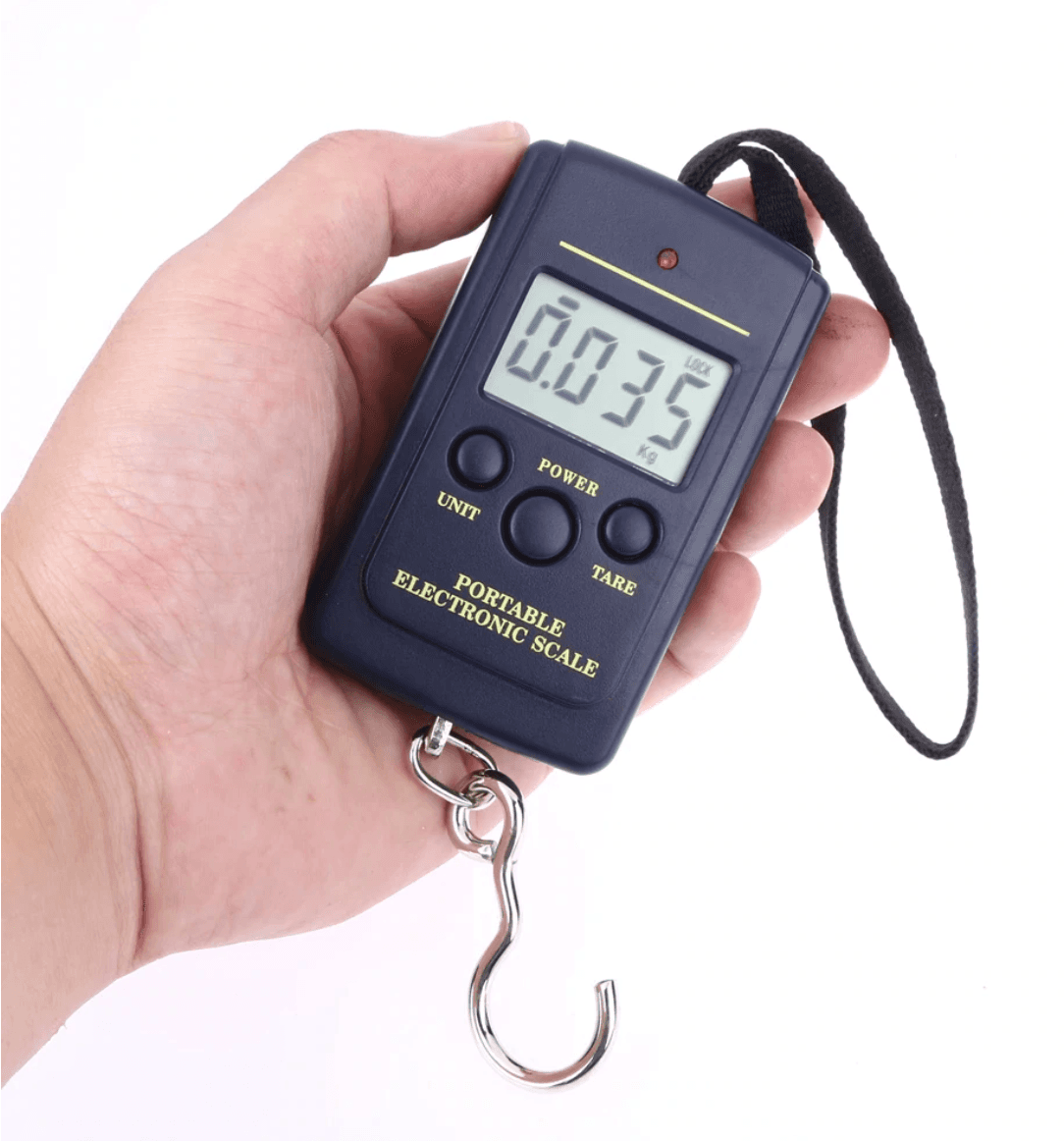 Mini Digital Scale